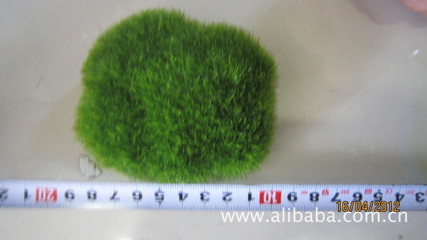 石頭-植絨石頭-禮品、工藝品、飾品-求購產品詳情